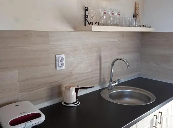 펜션 Vikendice Karamarkovic